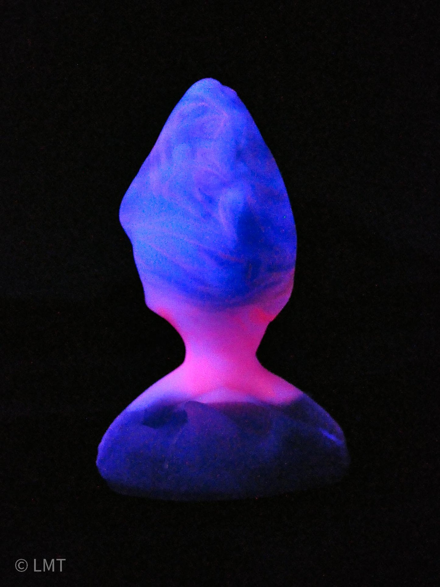 Small Amity the Shork! MEDIUM (00-50) UV Reactive!