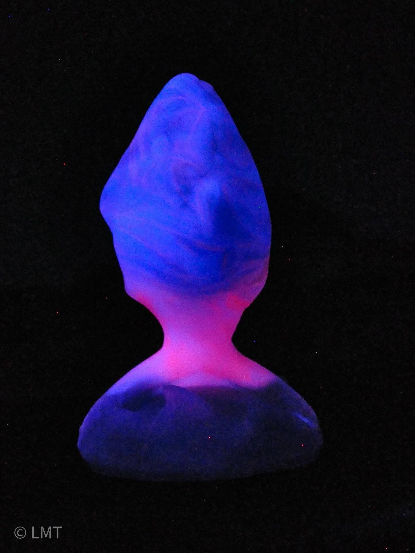 Small Amity the Shork! MEDIUM (00-50) UV Reactive!