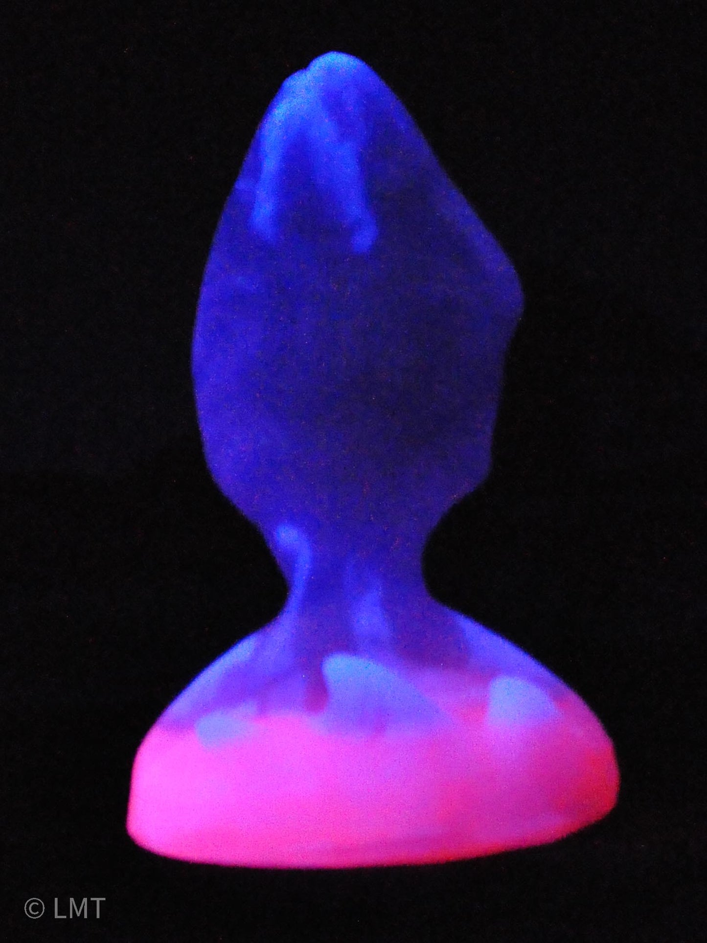 Small Amity the Shork! MEDIUM (00-50) UV Reactive!