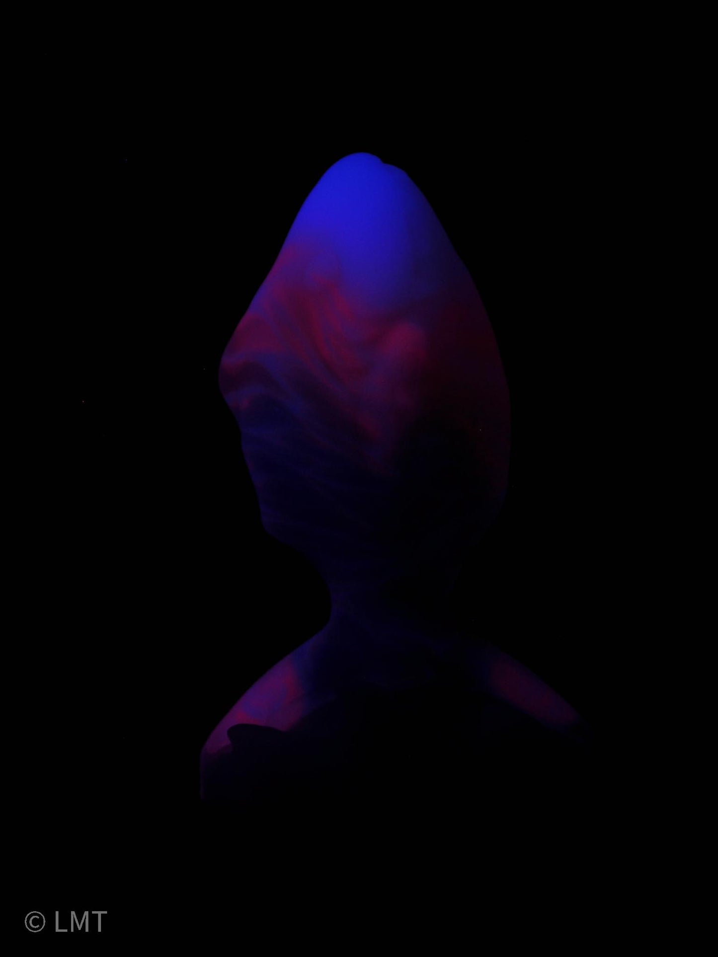 Medium Amity the Shork! MEDIUM (00-50) UV Reactive!