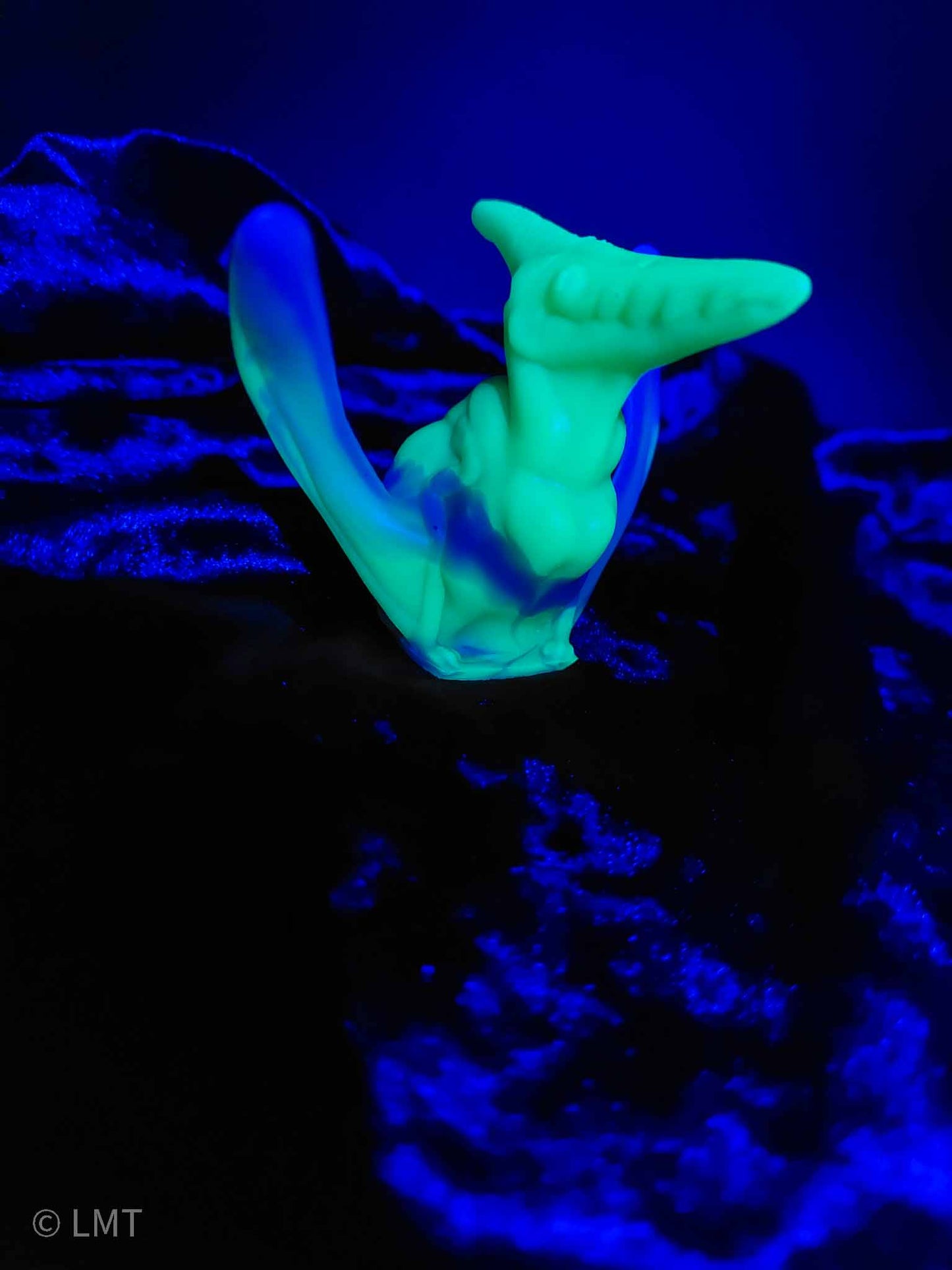 Ptrudy the Pteranadon!