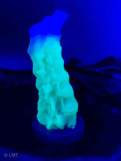 Small Osseous Relic Silicone Dildo 00-50