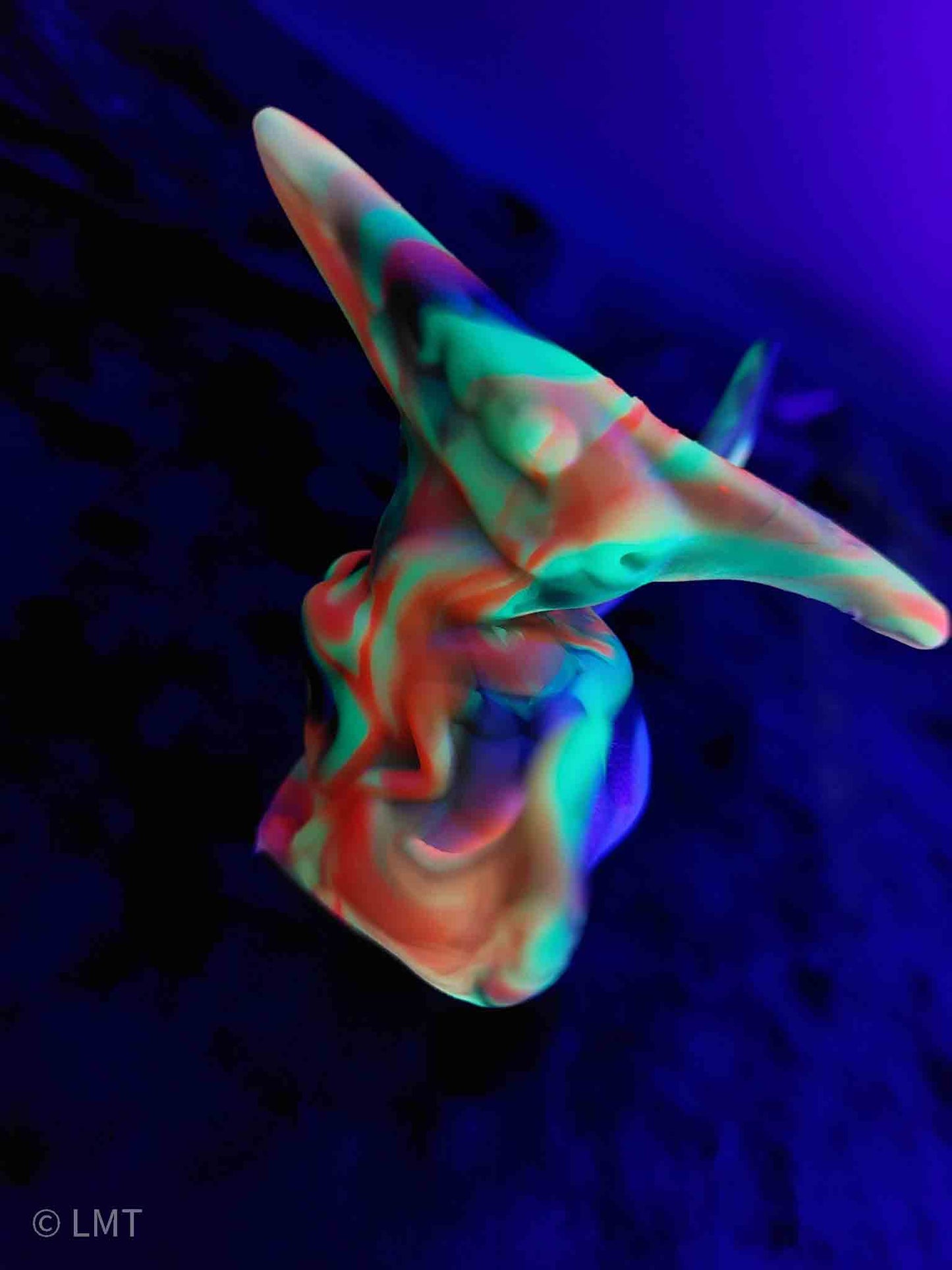 Ptrudy the Pteranadon!