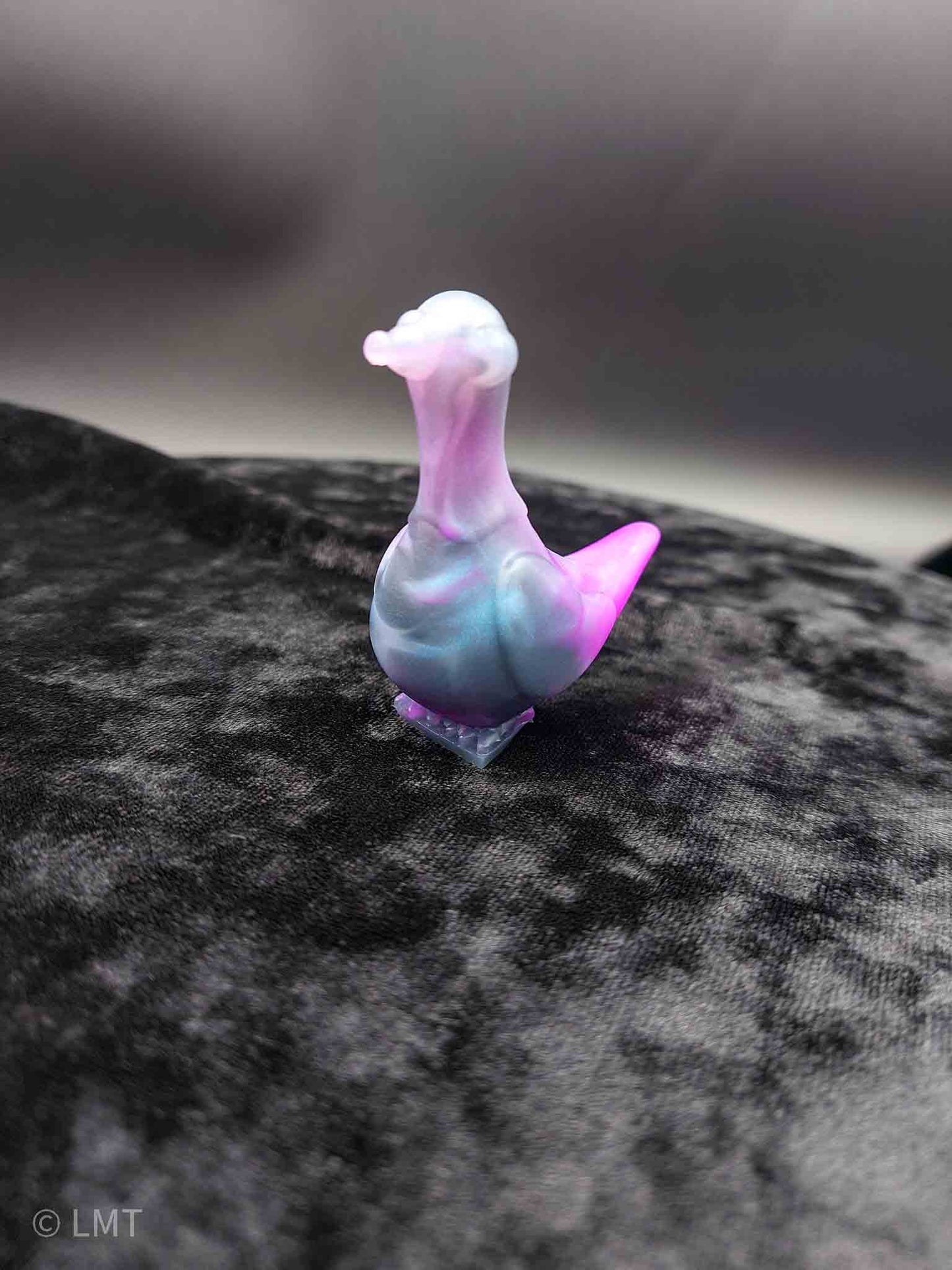 Gidget the Pigeon!