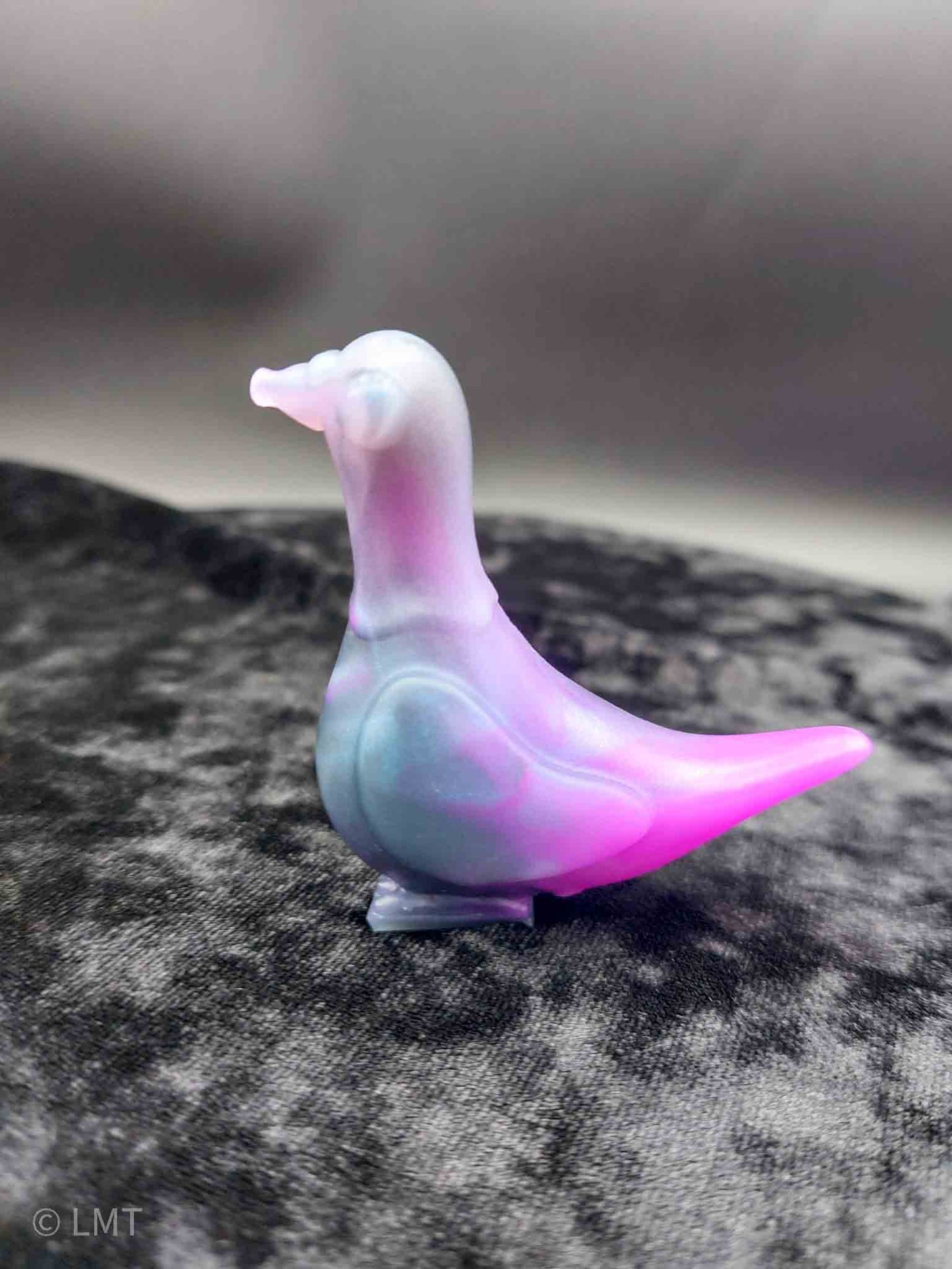 Gidget the Pigeon!