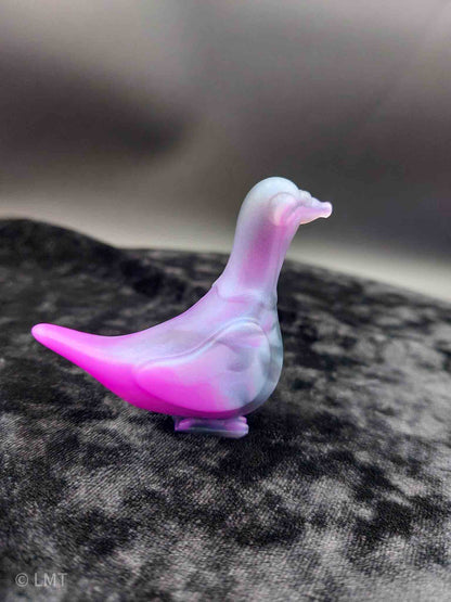 Gidget the Pigeon!