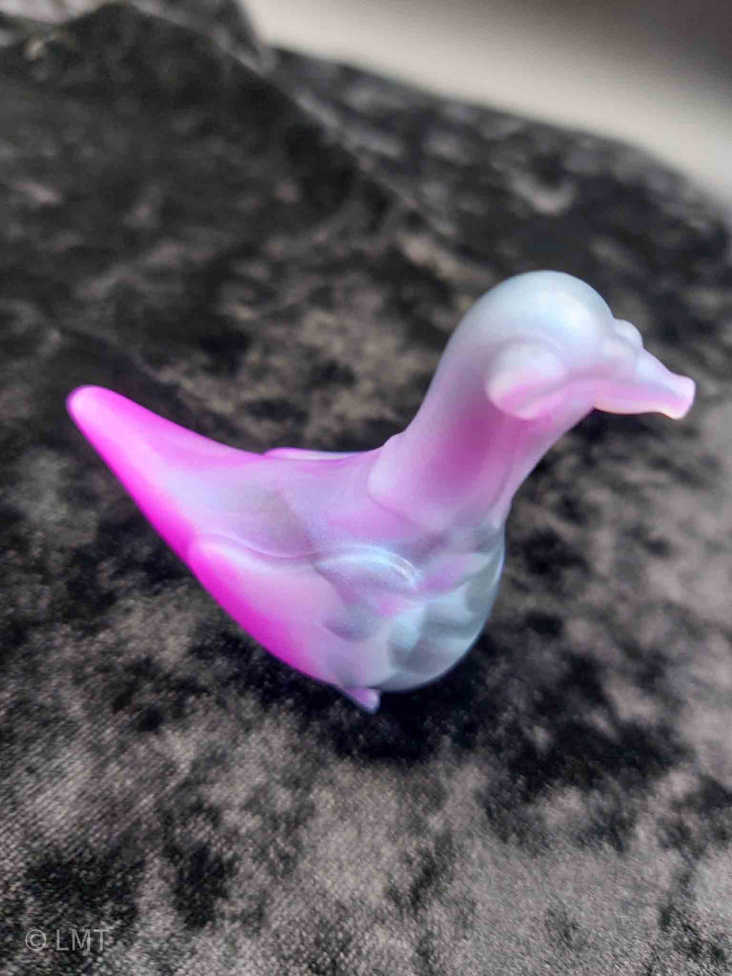 Gidget the Pigeon!