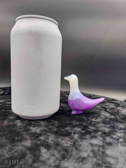 Gidget the Pigeon!