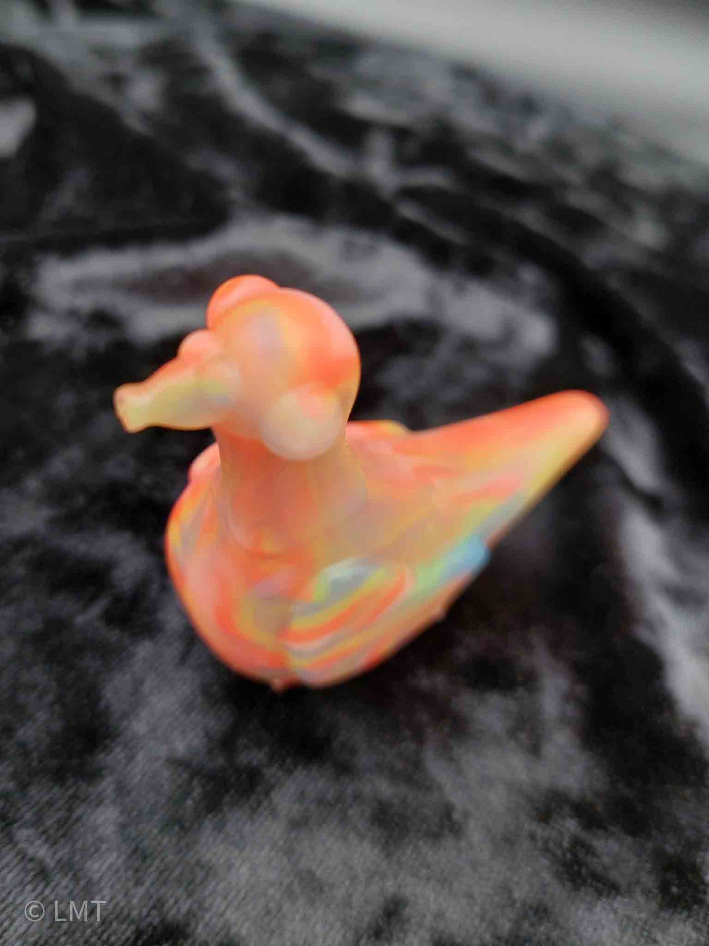 Gidget the Pigeon!