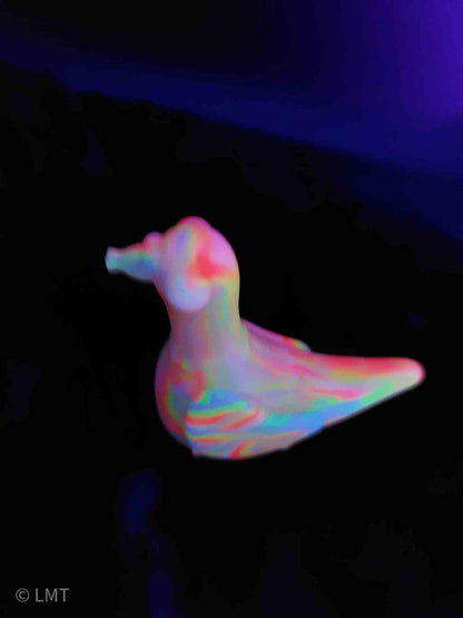 Gidget the Pigeon!