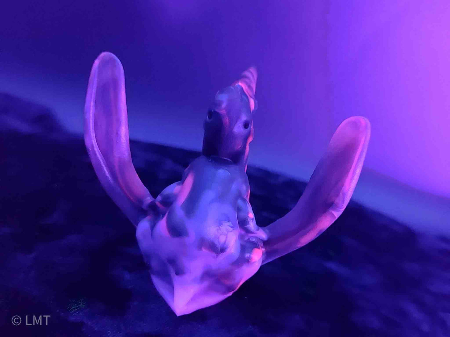 Ptrudy the Pteranadon!