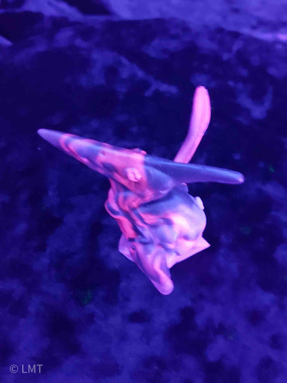 Ptrudy the Pteranadon!