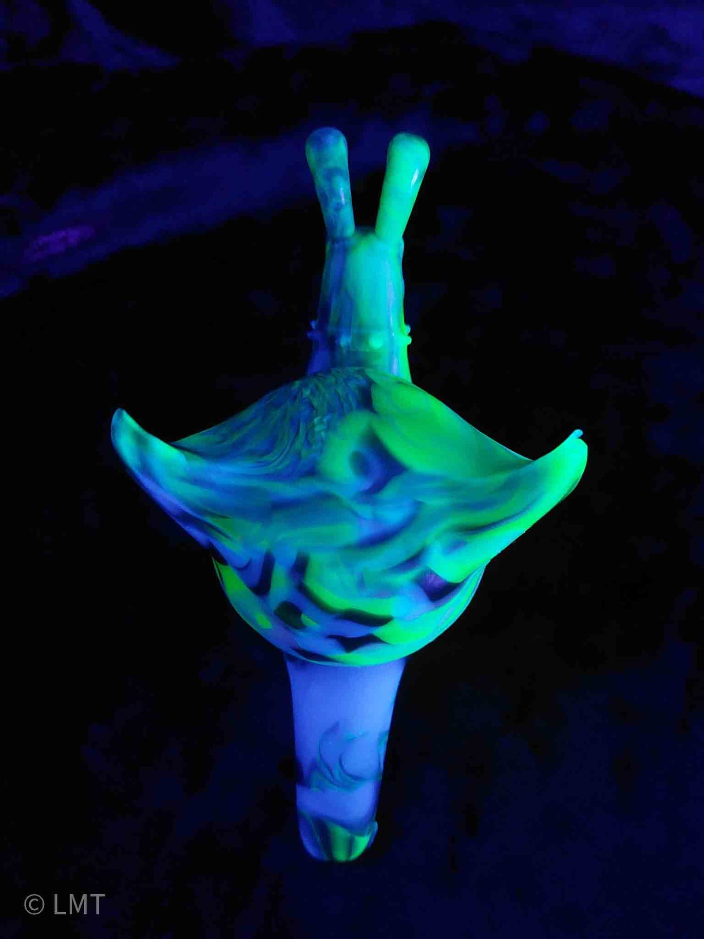 Frankie the Punk Rock Snail!