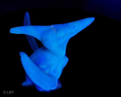 Ptrudy the Pteranadon!