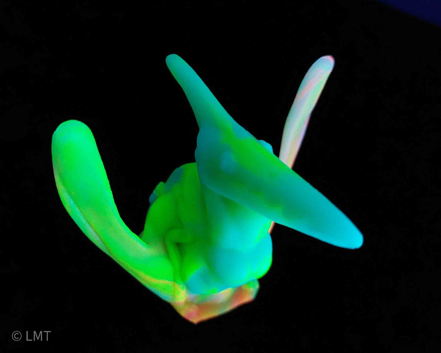 Ptrudy the Pteranadon!