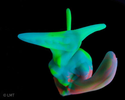Ptrudy the Pteranadon!