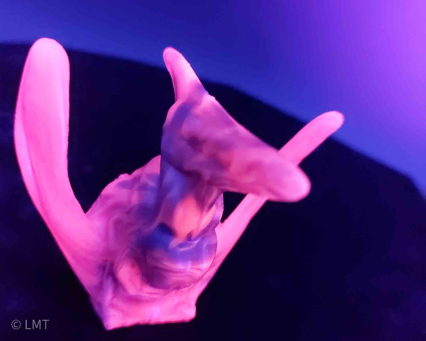 Ptrudy the Pteranadon!