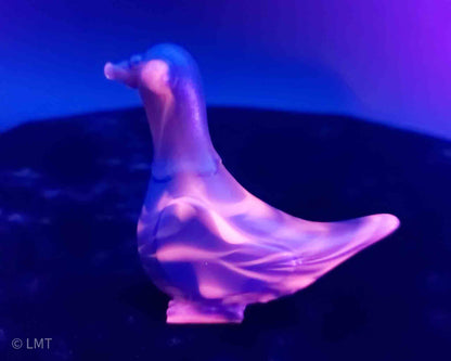 Gidget the Pigeon!