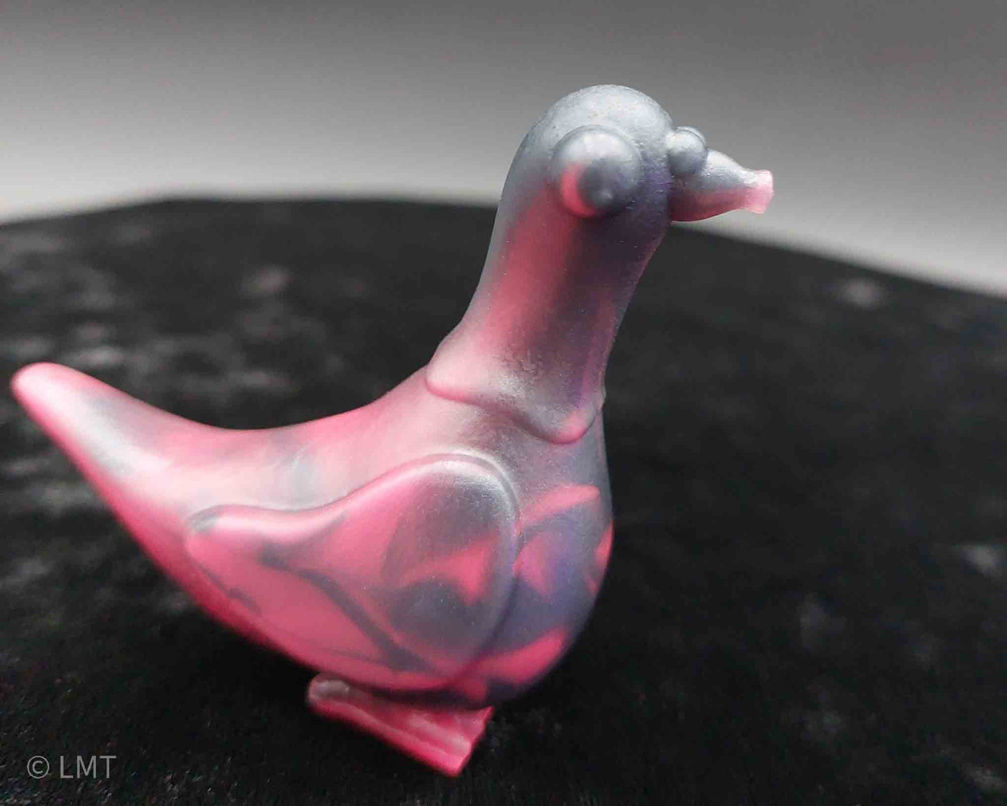 Gidget the Pigeon!