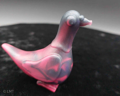Gidget the Pigeon!