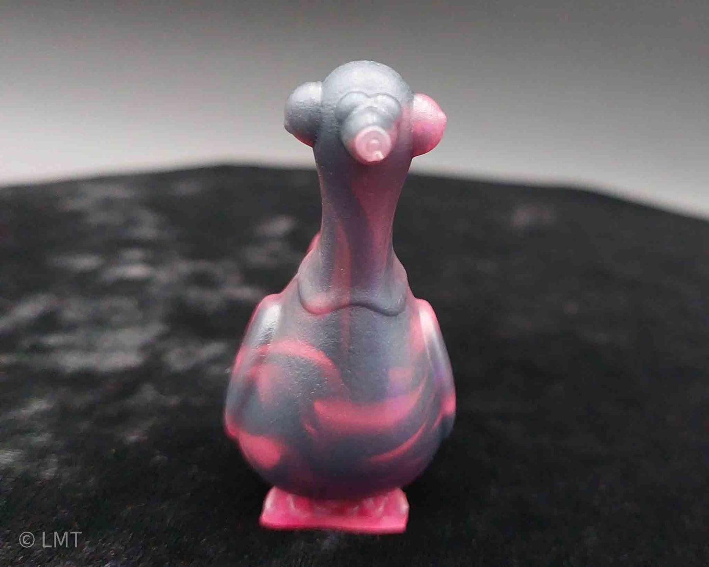 Gidget the Pigeon!