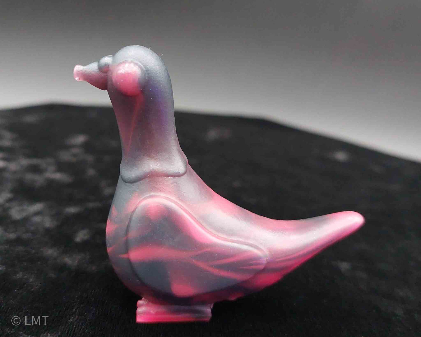 Gidget the Pigeon!