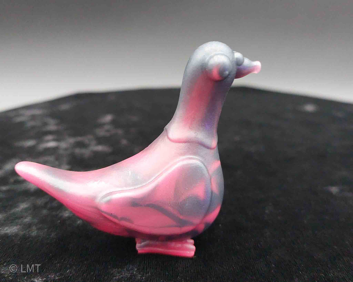 Gidget the Pigeon!