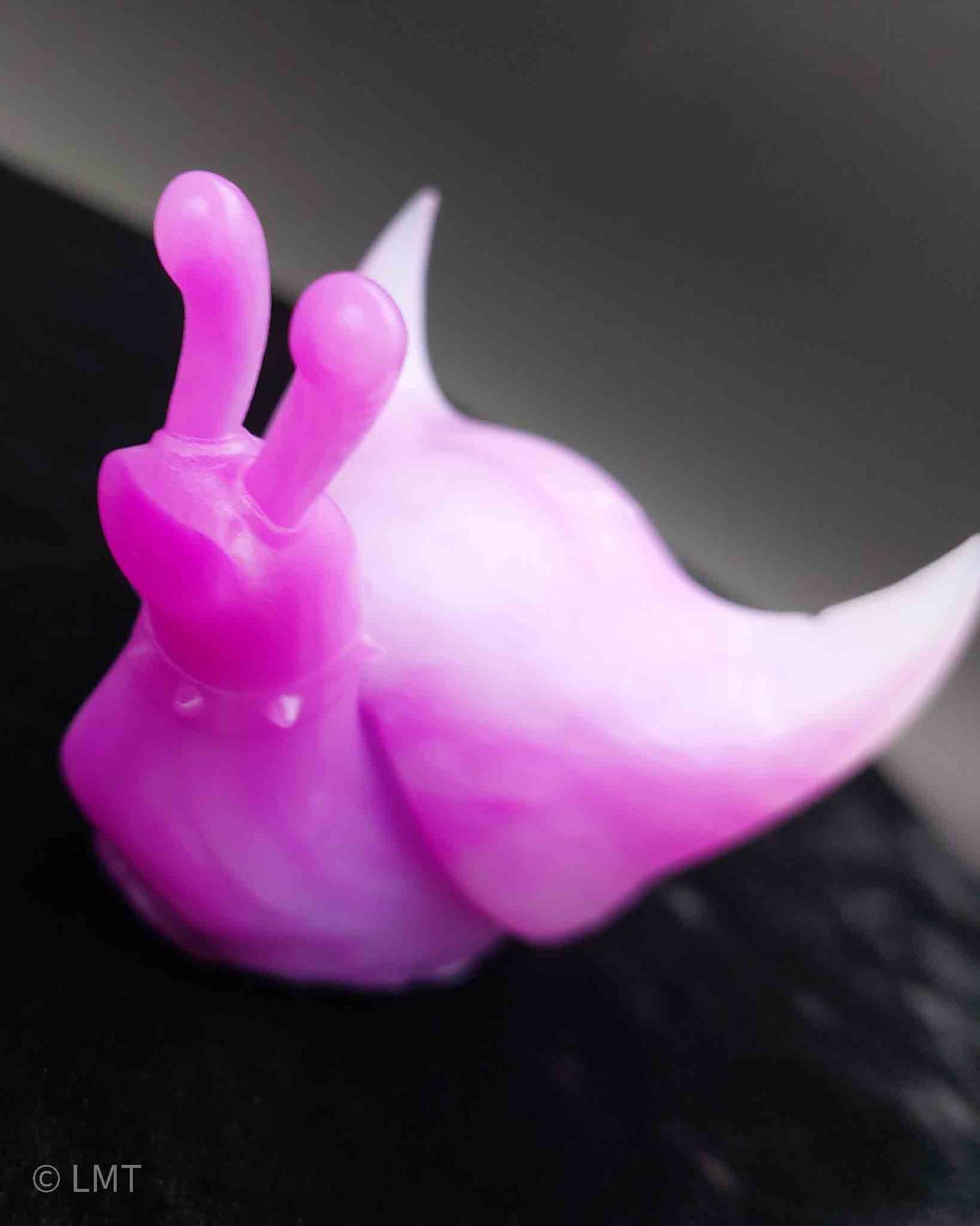 Frankie the Punk Rock Snail!