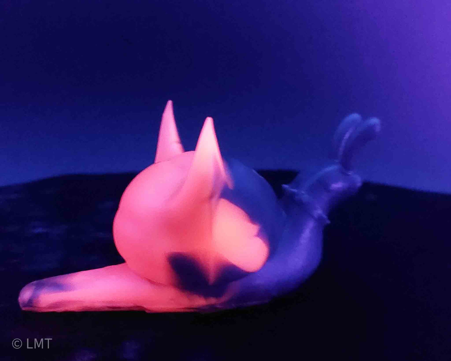 Frankie the Punk Rock Snail!