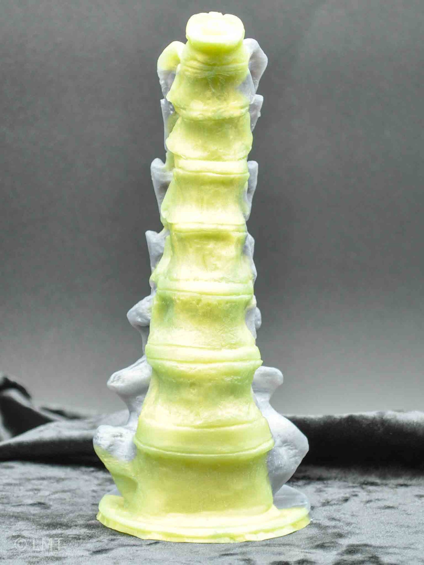 THE OSSEOUS RELIC (LARGE)