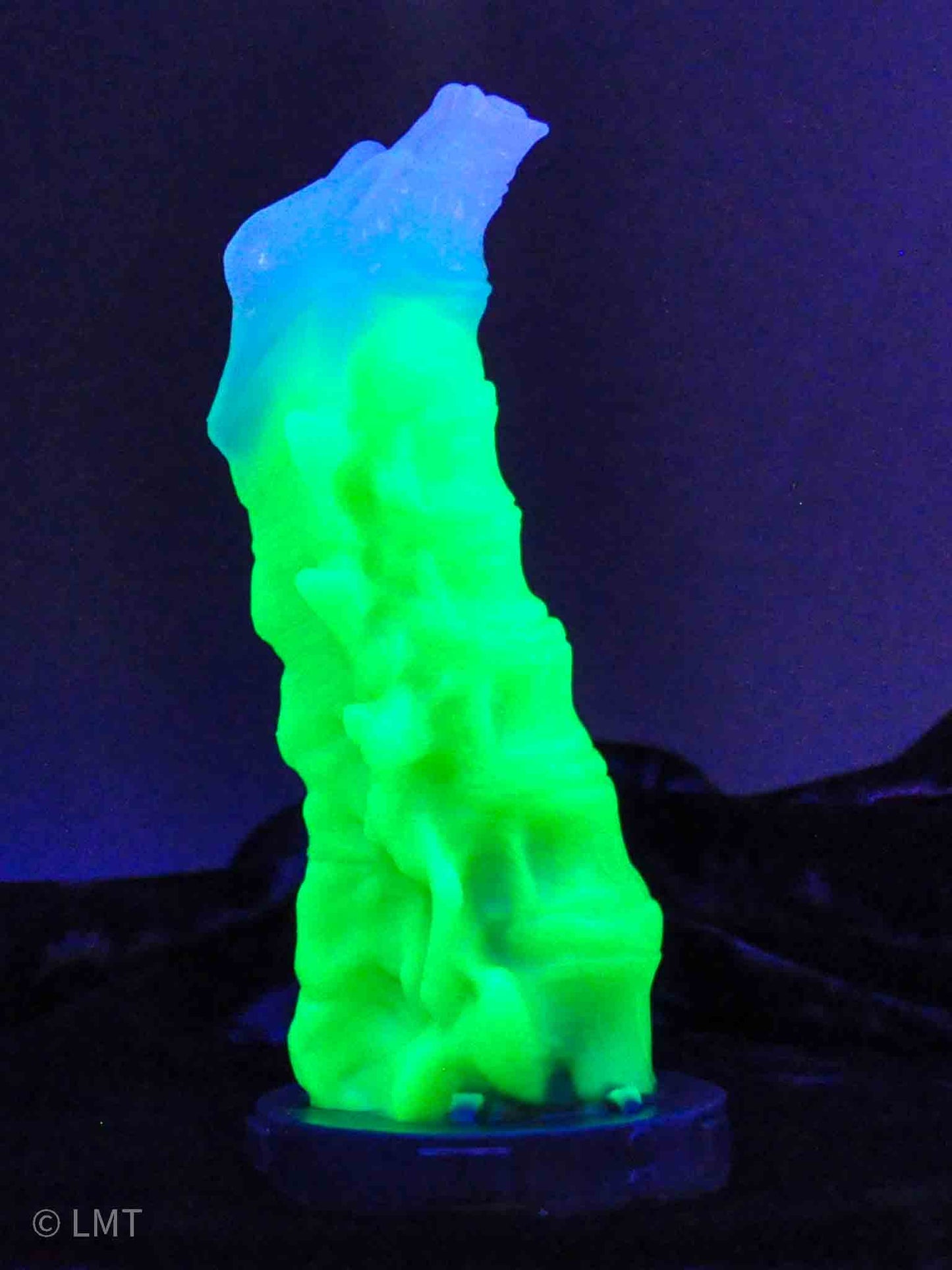 Small Osseous Relic Silicone Dildo 00-50