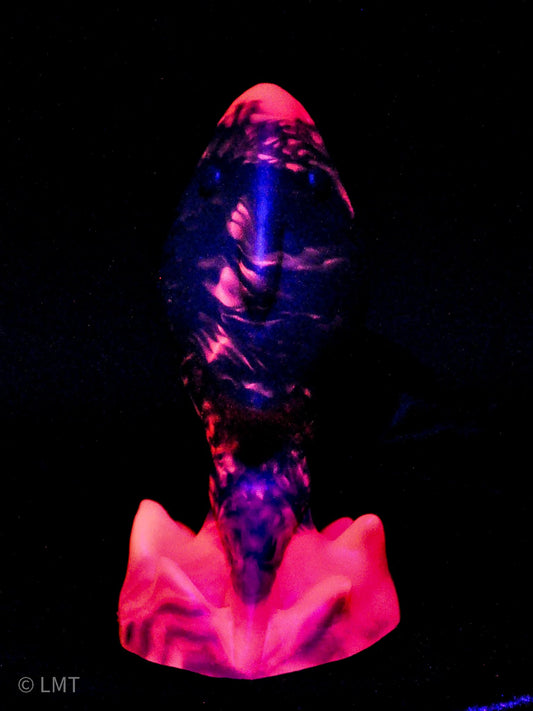 LARGE Amity the Shork! Medium (00-50)