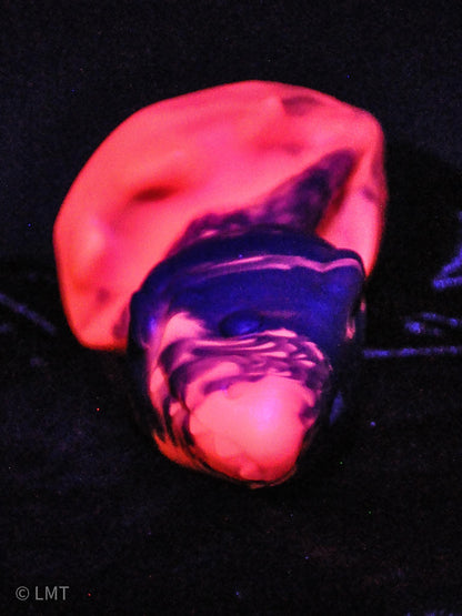 LARGE Amity the Shork! Medium (00-50)