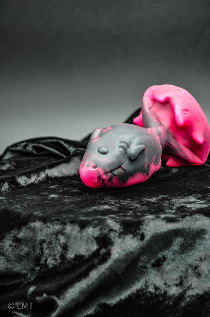 LARGE Amity the Shork! Medium (00-50)