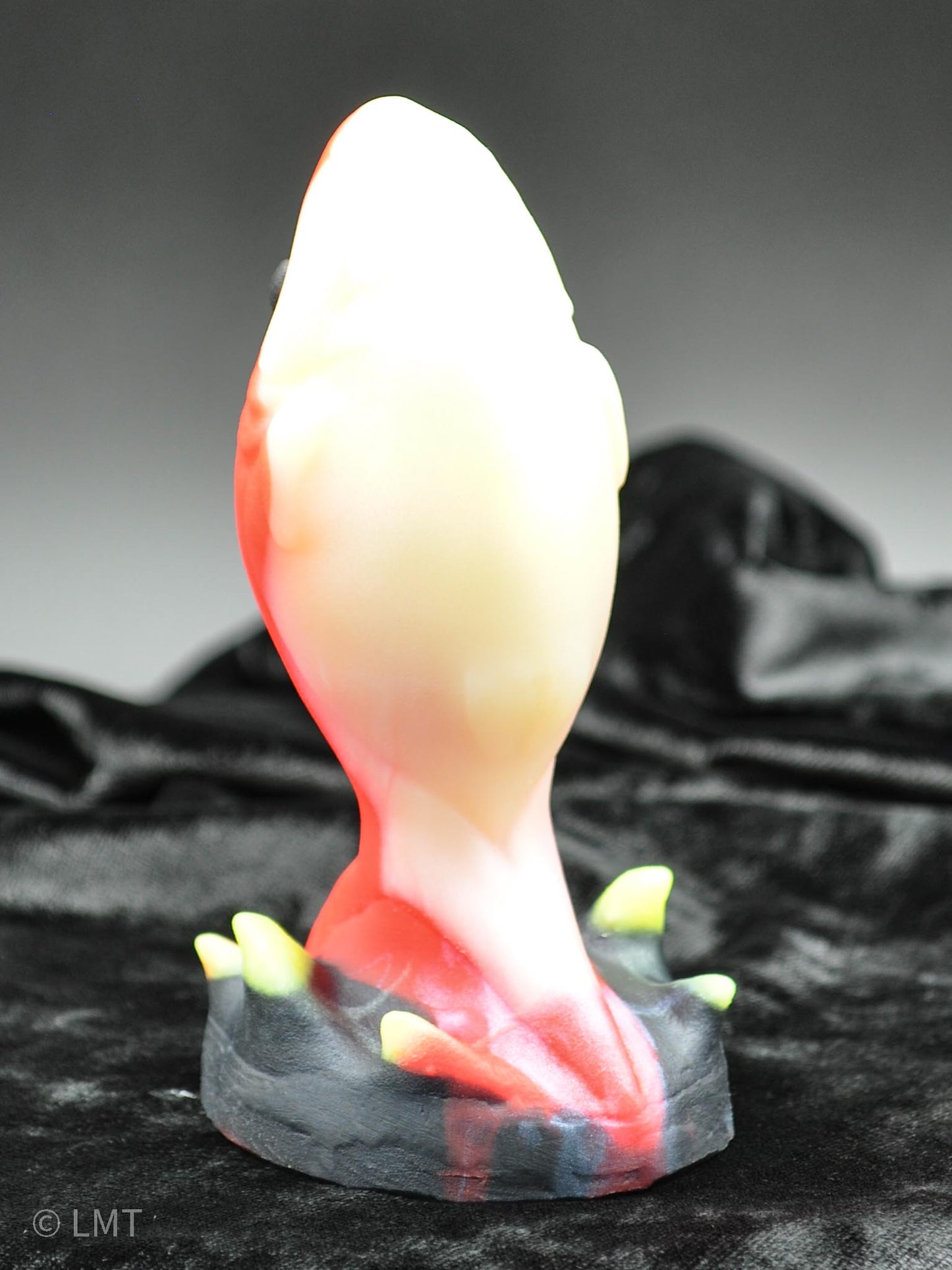 Medium Amity the Shork! MEDIUM (00-50)