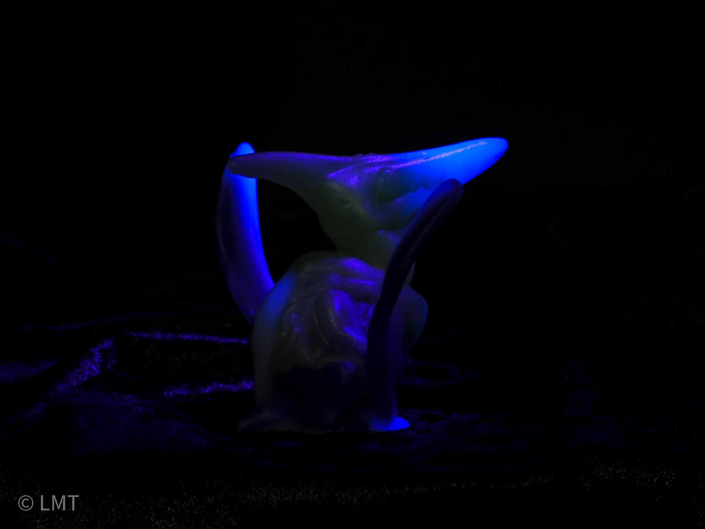 Ptrudy the Pteranadon!