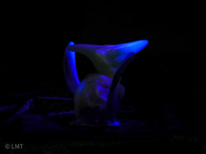 Ptrudy the Pteranadon!