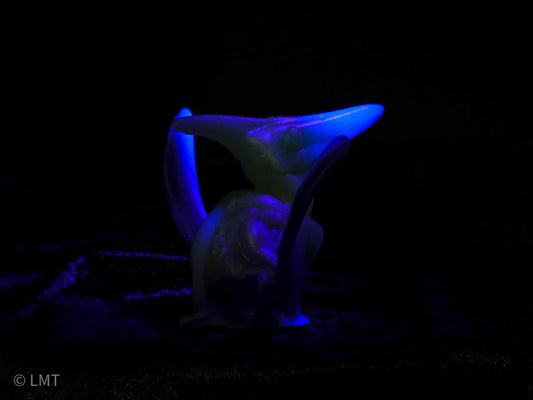 Ptrudy the Pteranadon!