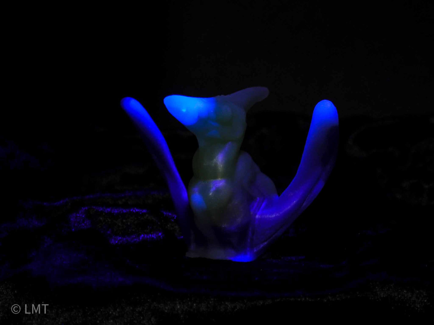 Ptrudy the Pteranadon!