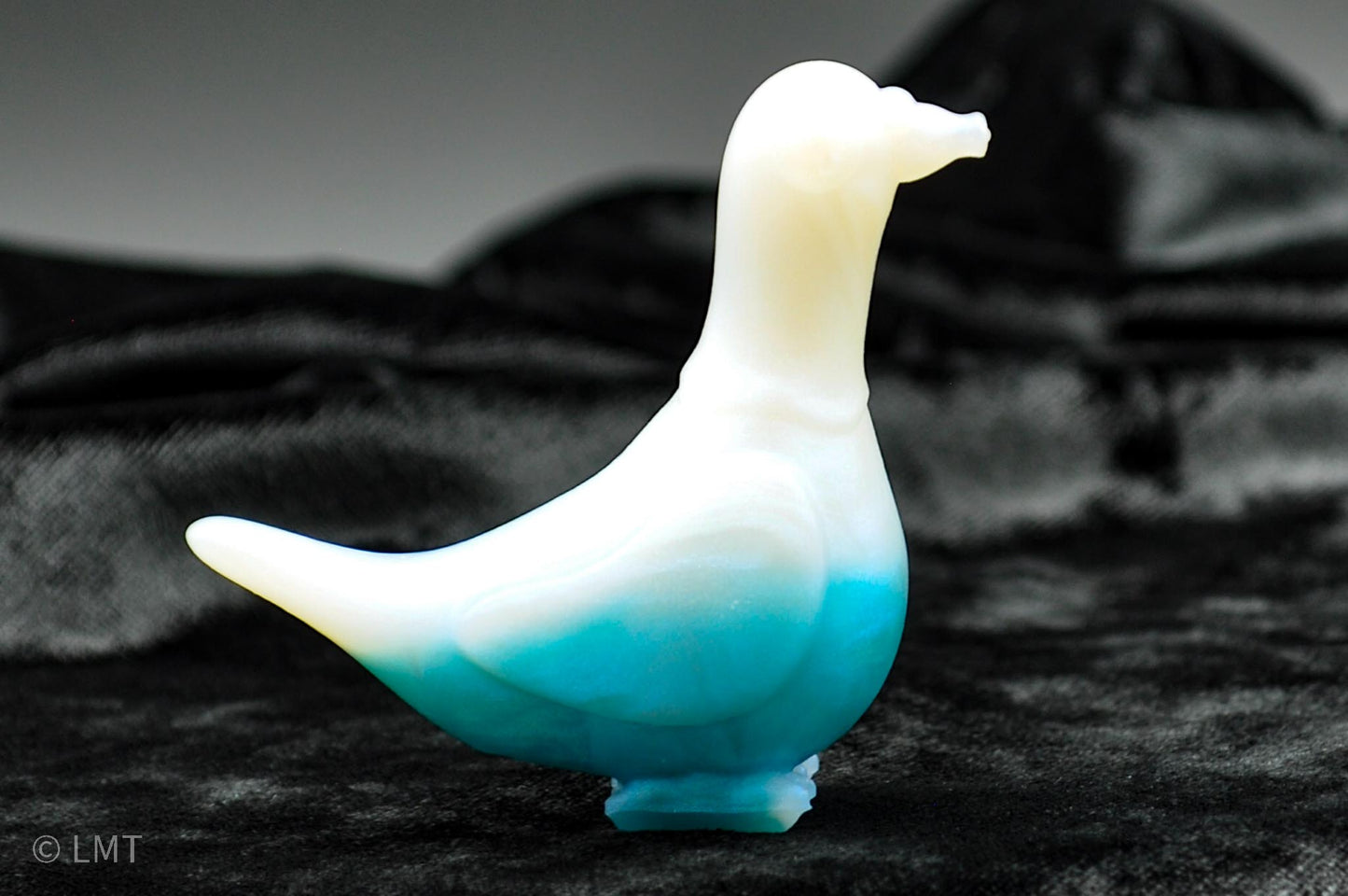 Gidget the Pigeon!