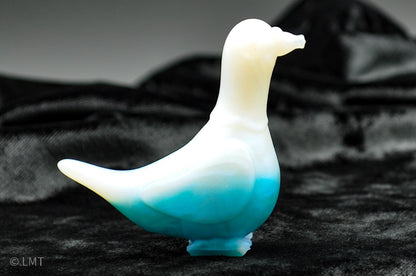 Gidget the Pigeon!
